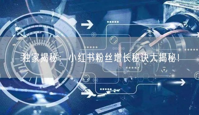 独家揭秘：小红书粉丝增长秘诀大揭秘！