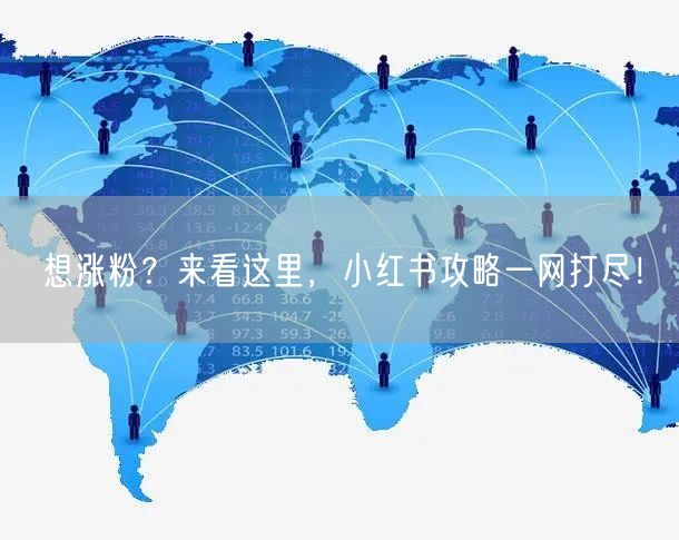 想涨粉？来看这里，小红书攻略一网打尽！