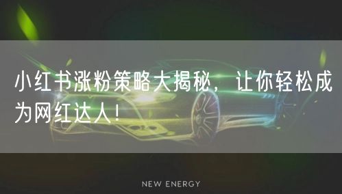 小红书涨粉策略大揭秘，让你轻松成为网红达人！